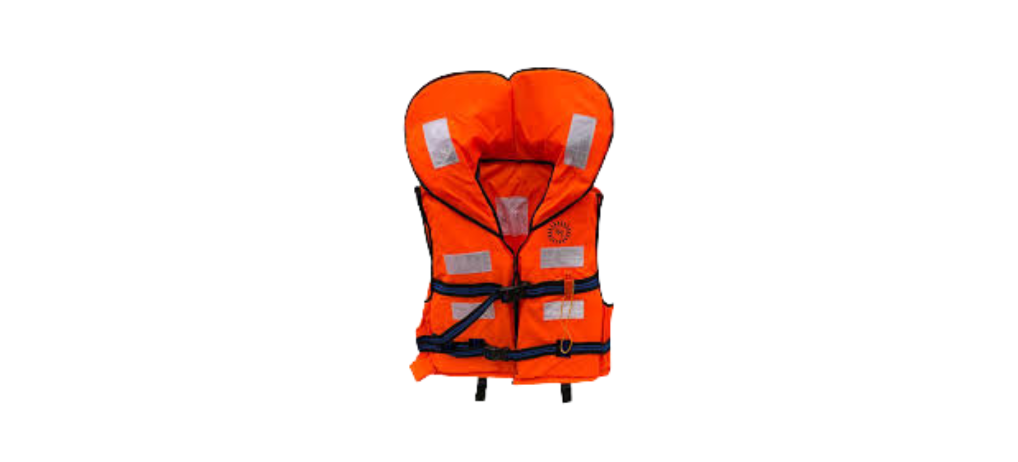 Safety Lifebuoy supplier in India